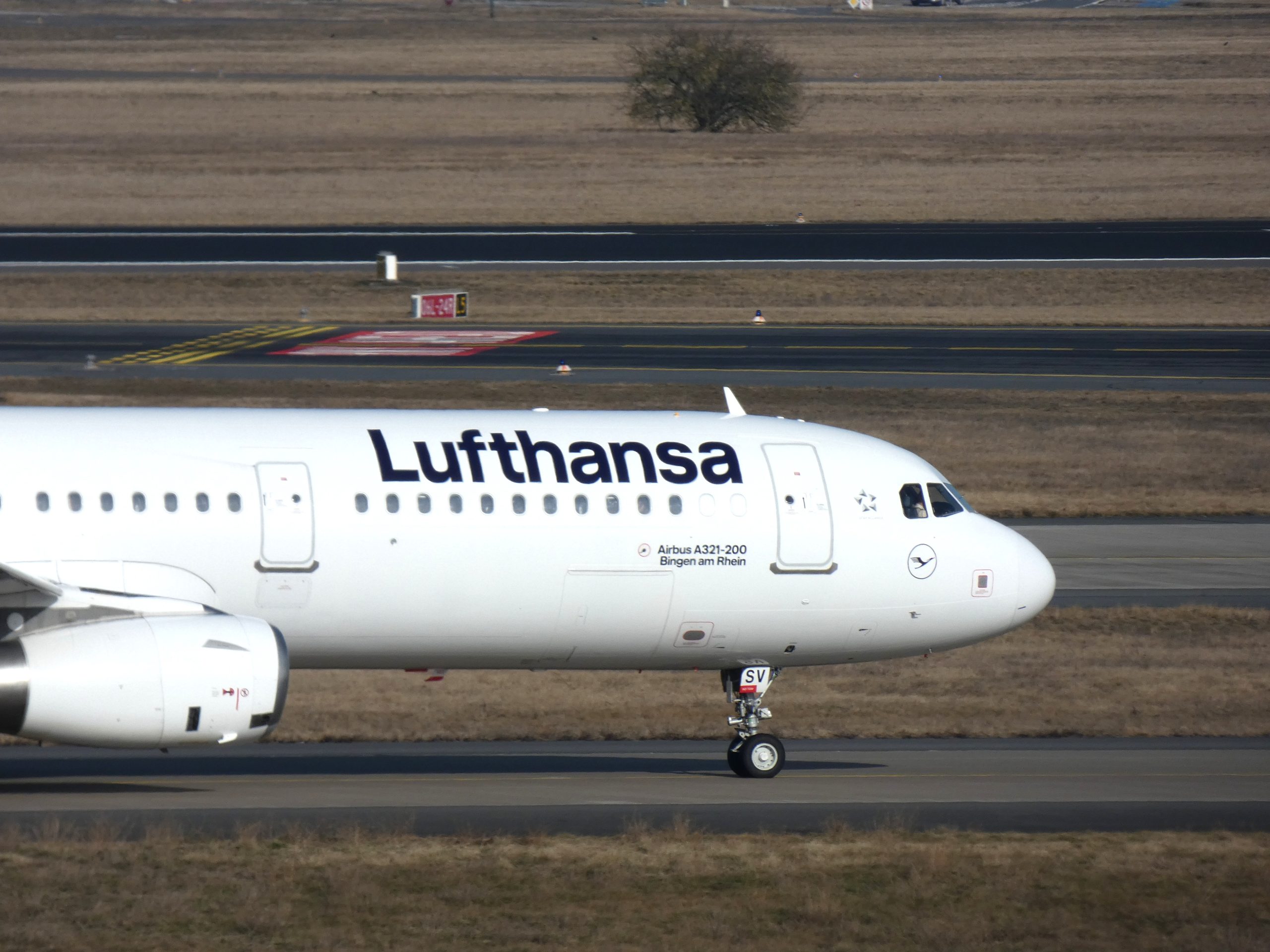 lufthansa