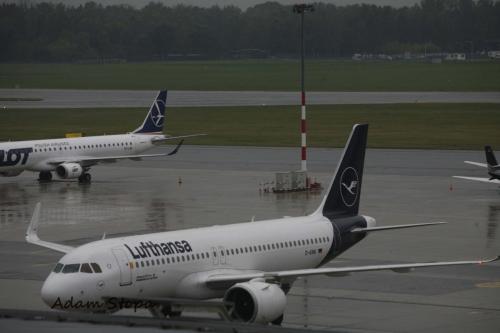 0131 (1)