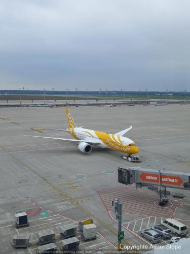 Boeing 787-8 Dreamliner, FlyScoot