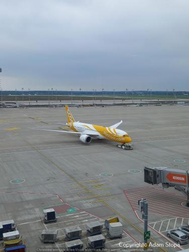 Boeing 787-8 Dreamliner, FlyScoot