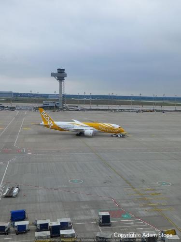 Boeing 787-8 Dreamliner, FlyScoot