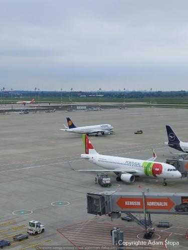 Airbus A320-200, TAP Air Portugal, Airbus A320neo Lufthansa