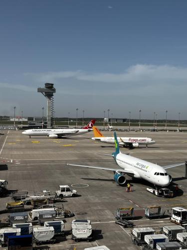 Airbus-A320-Aer-Lingus-Airbus-A330-Turkish-Airlines-Airbus-A320neo-Pegasus-2