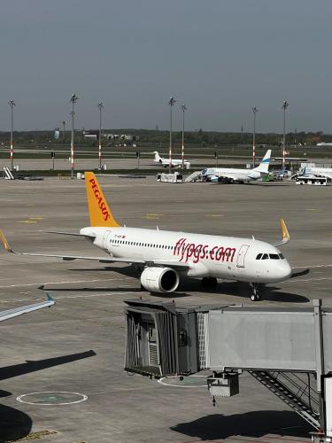 Airbus-A320neo-Pegasus-Airlines-4