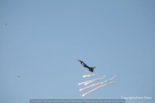 IMG 2751