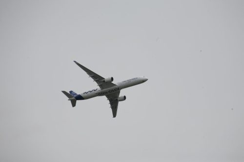 MG 7334 (1)