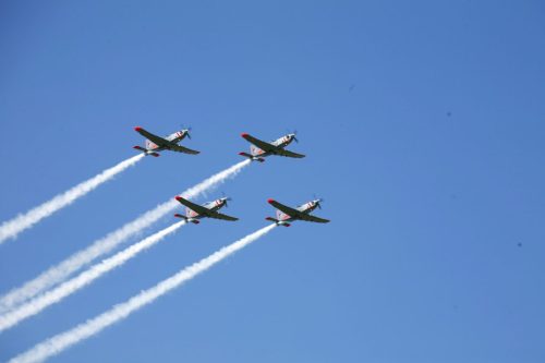 MG 7398