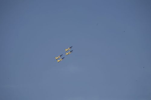 MG 7613 (1)