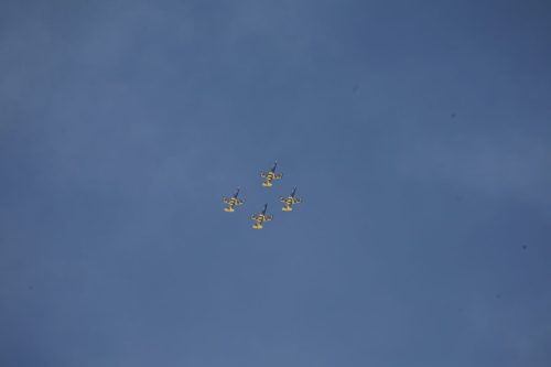 MG 7621 (1)