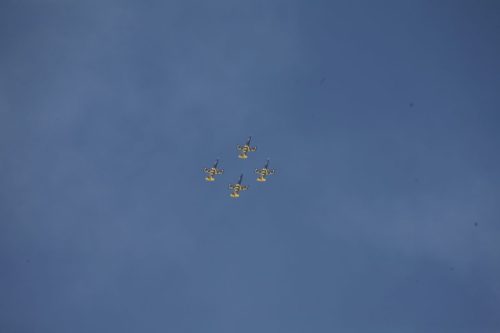 MG 7622 (1)
