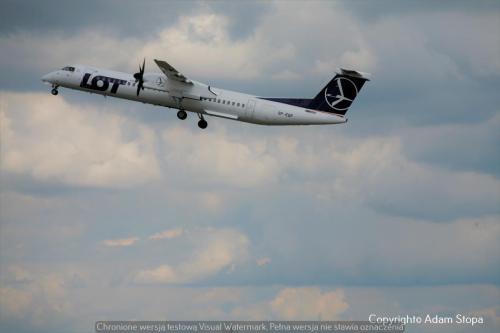 MG 8358