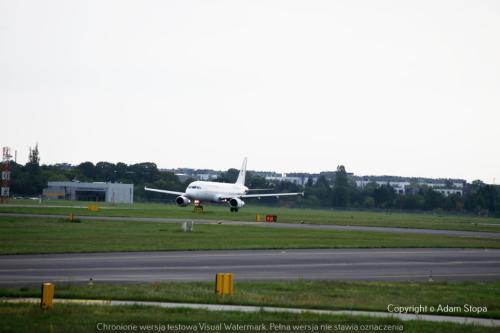 MG 8768