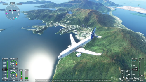 Microsoft-Flight-Simulator-2023 02 10-18 37 04