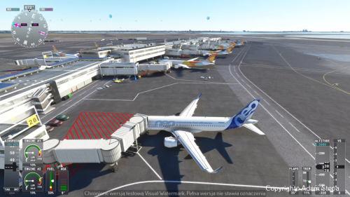 Microsoft-Flight-Simulator-2023 02 11-19 12 52
