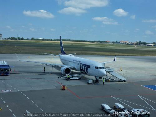 P1310913nowe