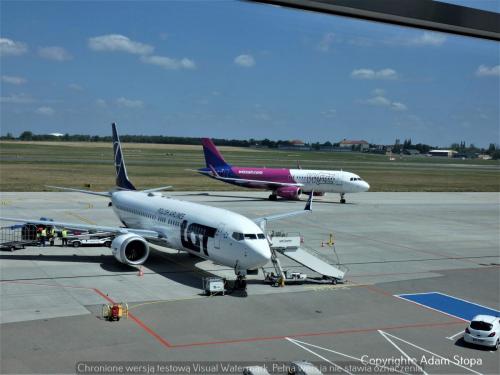 P1310954nowe