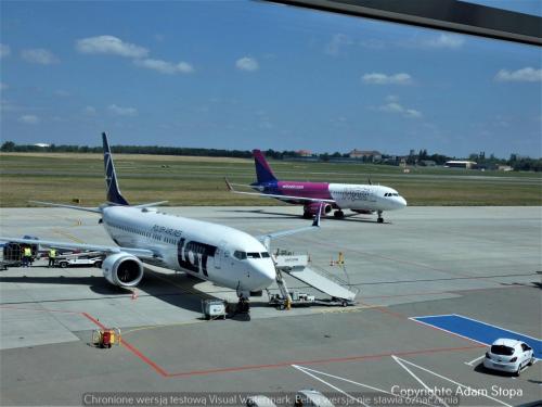 P1310955nowe