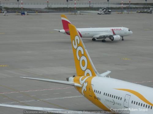 Airbus A320neo Iberia, Boeing 787-8 Dreamliner FlyScoot