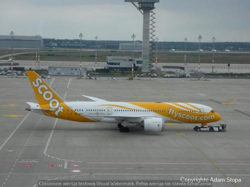 Boeing 787-8 Dreamliner, FlyScoot