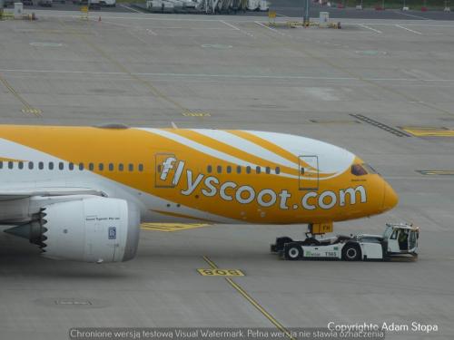 Boeing 787-8 Dreamliner, FlyScoot