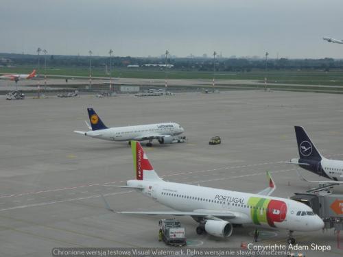 Airbus A320neo Lufthansa, Airbus A320-200 TAP Air Portugal