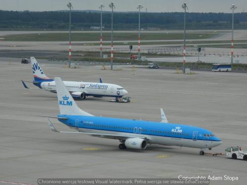 Boeing 737-800 SunExpress, Boeing 737-800 KLM