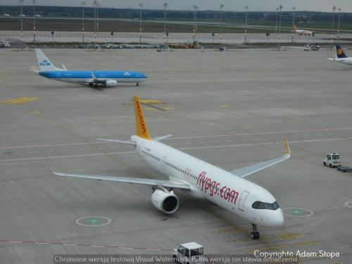 Airbus A321neo Pegasus Airlines, Boeing 737-800 KLM Royal Dutch Airlines