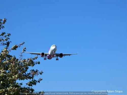 Airbus A321neo, Wizzair