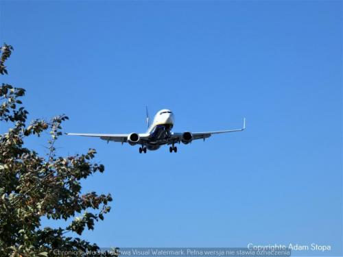 Boeing 737-800, Ryanair