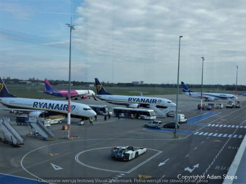 Ryanair, Wizzair, Enter Air
