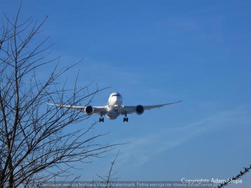Boeing 787-8 Dreamliner, LOT Polish Airlines