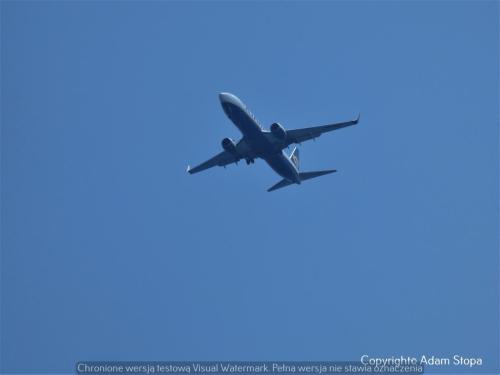 Boeing 737-800, Ryanair