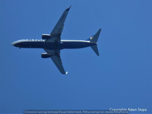 Boeing 737-800, Ryanair