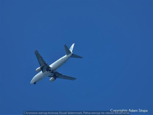 Boeing 737-300, Bluebird Airways, Maleth-Aero