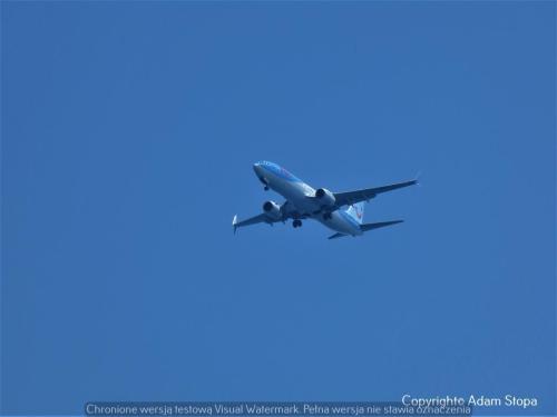 Boeing 737-800, TUI fly Belgium