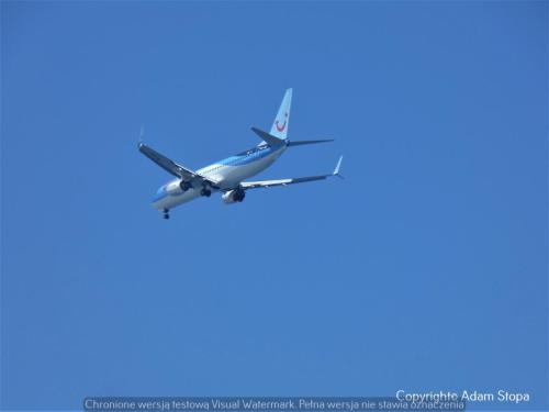 Boeing 737-800, TUI fly Belgium