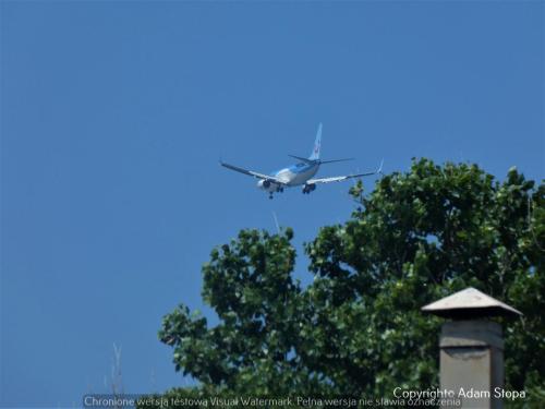 Boeing 737-800, TUI fly Belgium