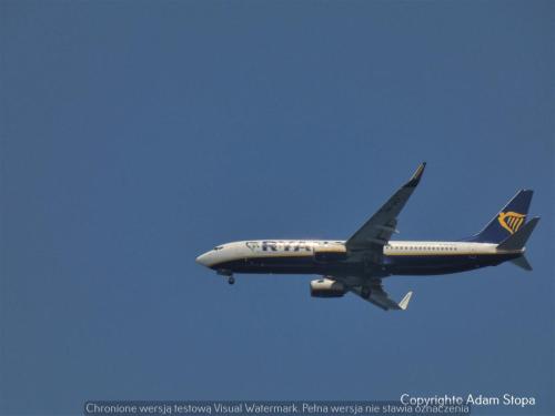 Boeing 737-800, Ryanair