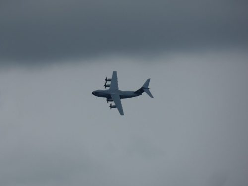 P1690655