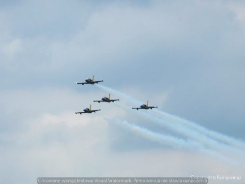 P1700122