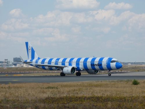 P1700979 (1)
