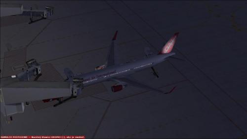 fsx-2020-03-10-20-55-21-66